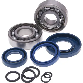 Ložisko převodovky RMS Sada ložisek na kliku SKF 19mm s o-kroužky, Vespa 50, PK 50 35248