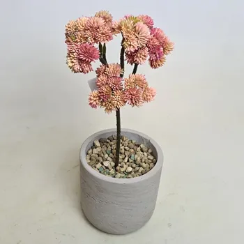 umělá květina Umělý sukulent Sedum oranžový 30cm - Do interiéru