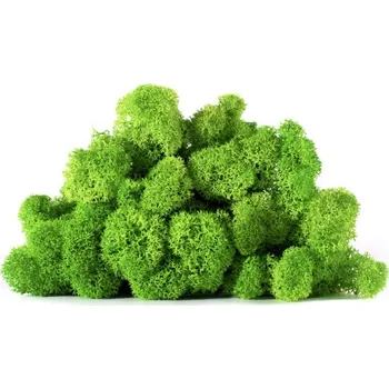 Dekorační stabilizovaný mech sobí 4 kg, sv. trávově zelený