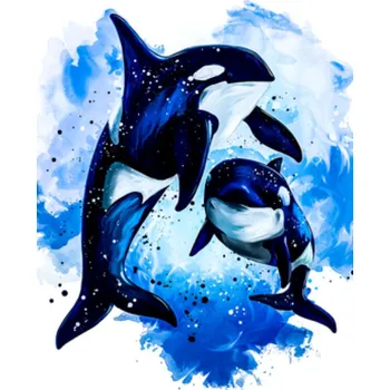 Gaira® Malování podle čísel Kosatky M992224