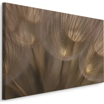 Obraz Plátno Odkvétající Pampeliška IV. Varianta: 30x20