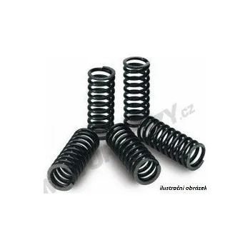 Sada spojkových pružin MR3 APRILIA 1000 RST Futura rok 01-04