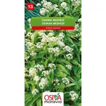 Osiva Moravia Česnek medvědí 0,5 g