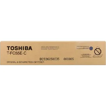 Toshiba TF-C55EC 6AG00002318 C originální