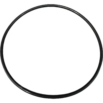 Bazénová filtrace O-kroužek těla čerpadla Badu 21-50