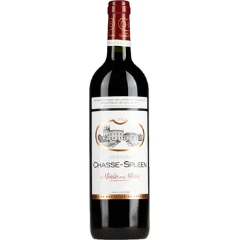 Víno Bordeaux vins Château Chasse Spleen - Moulis 2018