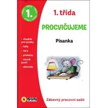 Procvičujeme: 1. třída: Písanka:…