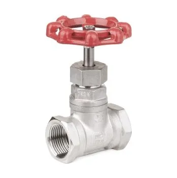 Ventil Ventil sedlový - typ 358 - 1.4408: 5/4"