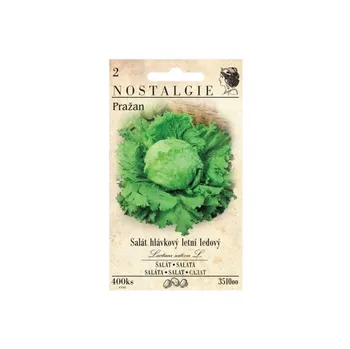 Semeno Nohel Garden Pražan salát hlávkový letní ledový 400 ks