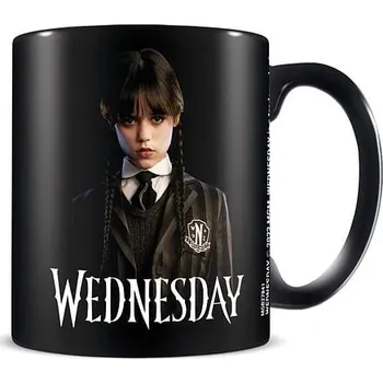 Pyramid International Hrnek Wednesday - Friendship 315ml