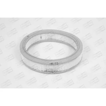 Vzduchový filtr Vzduchový filtr, , 46536482, CHAMPION, W719/606