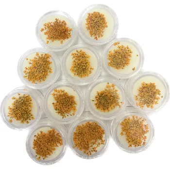 3D suché květiny Oranžový Nail Art 12ks