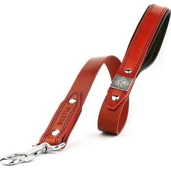 Vodítko pro psa Vodítko pro psa Bestia Collars Eros červené