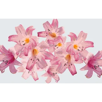 Malování podle čísel - Růžové lilie 2 Velikost: 40x60cm, Rámování: Pouze srolované plátno