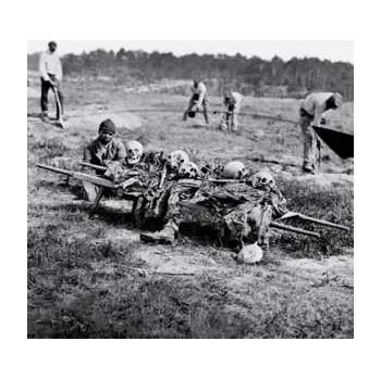 Zahraniční hudba LP D. Charles Speer: Leaving The Commonwealth 2011