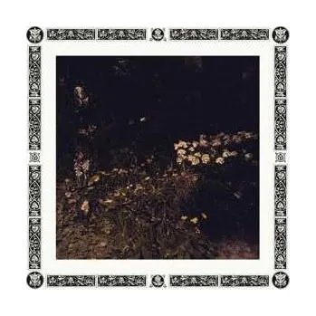 Zahraniční hudba LP Sarah Davachi: Pale Bloom 2019