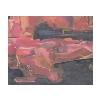 Zahraniční hudba LP Shahzad Ali/niel Ismaily: Sea Legs/hum Back 2020