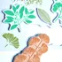 Dětské razítko AladinE Stampo Decor Vegetal 05280 rostliny 6 ks