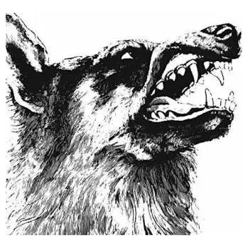 Zahraniční hudba CD Crippled Black Phoenix: I, Vigilante 2018