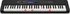 Keyboard Casio LK-S450