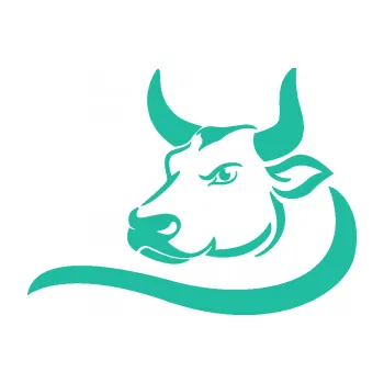 Samolepící dekorace Býk 008 levá (25 - tyrkysová) SAMOLEPKA NA AUTO, NÁLEPKA, FÓLIE, POLEP, TUNING, VLASTNÍ TEXT, TISK, AUTOSAMOLEPKY.cz, POLEPY, OBRÁZEK, LOGO, 3D STICKERS