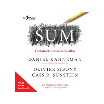 Šum – O chybách v lidském úsudku MP3 download