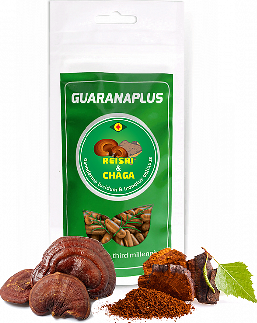 Reishi+Chaga 100 kapslí