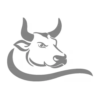 Samolepící dekorace SAMOLEPKA Býk 008 pravá (17 - šedá) NA AUTO, NÁLEPKA, FÓLIE, POLEP, TUNING, VLASTNÍ TEXT, TISK, AUTOSAMOLEPKY.cz, POLEPY, OBRÁZEK, LOGO, SAMOLEPKY