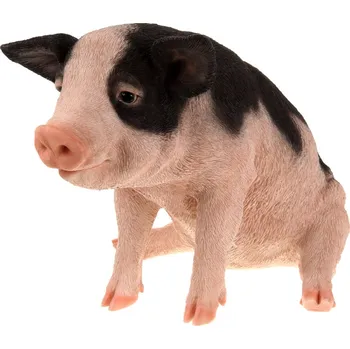 Autronic ZP2430 Prase z polyresinu