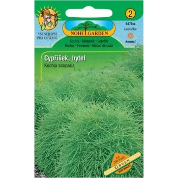 Pěstitelství Bytel metlovitý - cypřišek, zelený