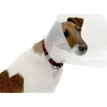 Kruuse Buster Clic Collar transparentní, 35 cm