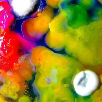 Zahraniční hudba CD Guerilla Toss: Famously Alive 2022