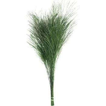 umělá květina Stabilizovaná rostlina Tiki - Tree Fern Green 40-50 cm