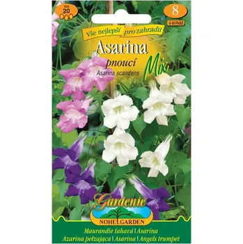 Semeno Nohel Garden Asarina pnoucí směs barev 20 ks