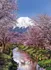 Puzzle Clementoni Fuji Mountain 1000 dílků