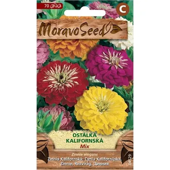 Semeno MoravoSeed Ostálka kalifornská mix 70 ks