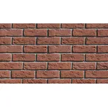 Cihlový obklad STEGU ARUBA 1 cena za balení