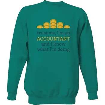Pánská mikina Mikina bez kapuce Unisex s potiskem I'm an accountant and I know what I'm doing pánské