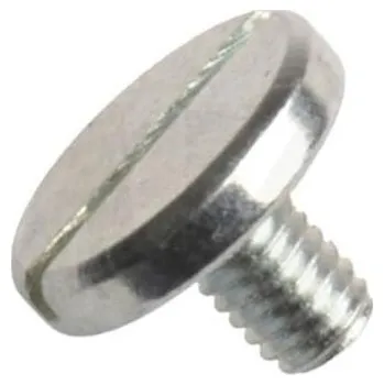 Šroub Din 921, šroub s velkou válcovou hlavou a rovnou drážkou, ocel 5.8, zinek bílý, m6x8 mm