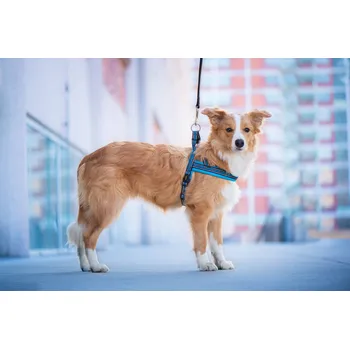 Postroj pro psa Vsepropejska James reflexní postroj pro psa | 44 – 79 cm Barva: Modrá, Obvod hrudníku: 59 - 72 cm