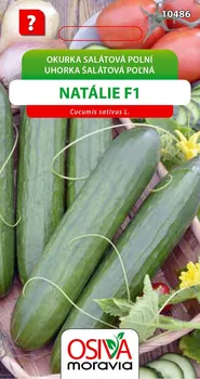 Semeno Osiva Moravia Natálie F1 okurka salátová polní 1 g