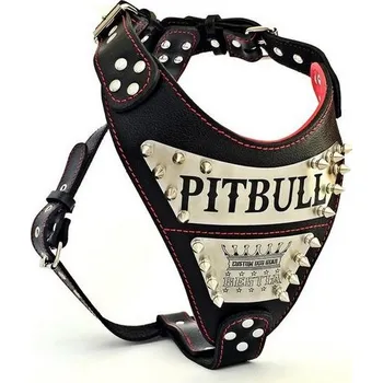 Obojek pro psa Bestia Collars Postroj pro psa Bestia Collar Metal - Na míru s vlastním jménem Velikost: M