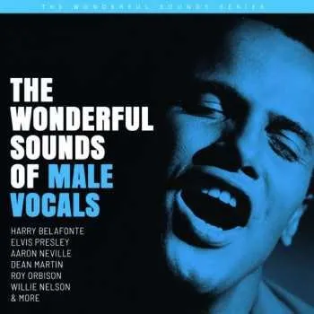 Zahraniční hudba SACD Various: The Wonderful Sounds Of Male Vocals 2022 SACD