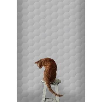 Tapeta Coloray Fototapeta Šestihranné dlaždice Samolepící Fototapeta Vliesová 250 x 250 cm coloraydecor-f-as-135554627