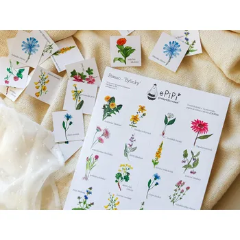 Desková hra ePiPí Pexeso - Bylinky