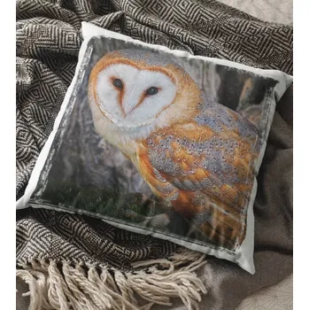 Dekorativní polštářek Polštář Sova 2 38 x 38 cm