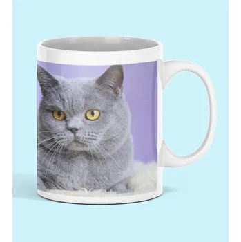 Hrnek kočka britská