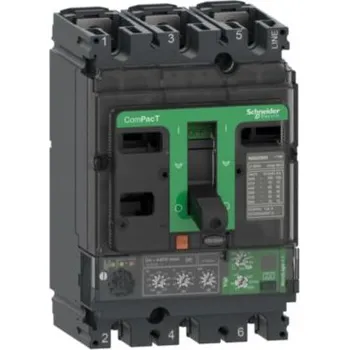 Jistič C16F34V100 NSX160F 36kA AC 3P3D 100A 4.2,Schneider Electric
