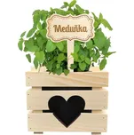 Amadea Dřevěný zápich cedulka na…