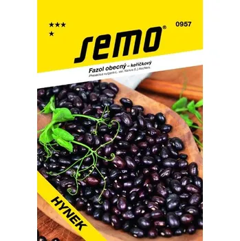 Semeno SEMO Fazol keříčkový na suchá semena Hynek 40 g